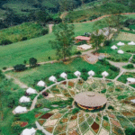 CR5